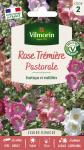 Fleurs - Rose Trémière Pastorale - PACKAGING_RECTO